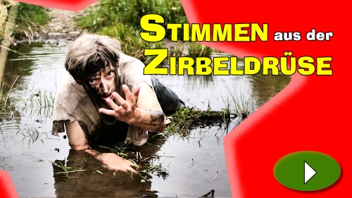 Stimmen aus der Zirbeldrse