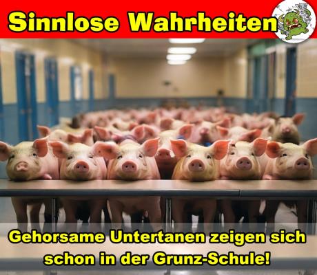grunzschule
