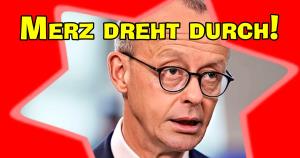 friedrichmerz